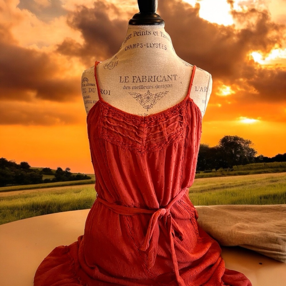 Knox Rose Terracotta Dress - Picture 3 of 16